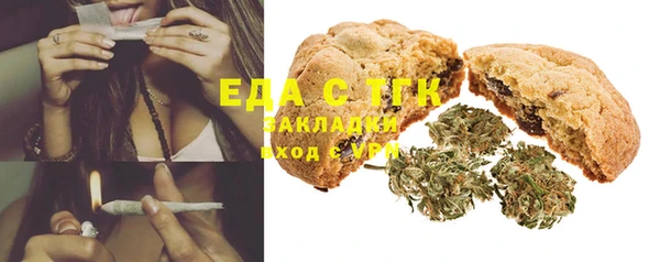 индика Бронницы
