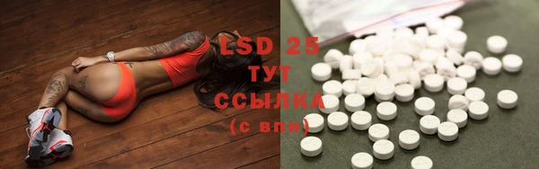 трава Бородино