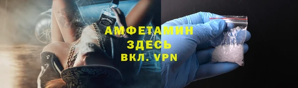 индика Бронницы