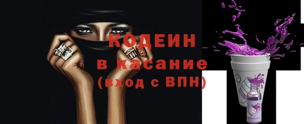 индика Бронницы