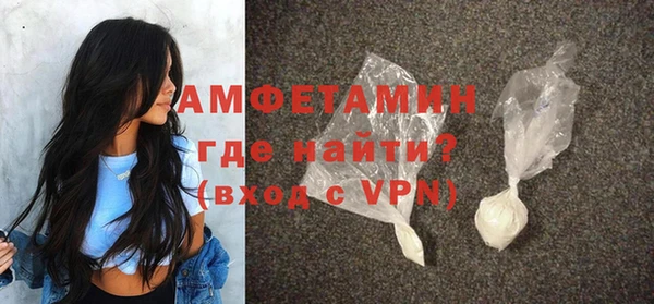 индика Бронницы