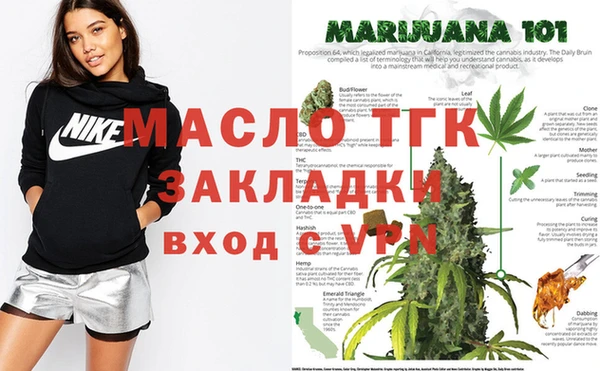 индика Бронницы