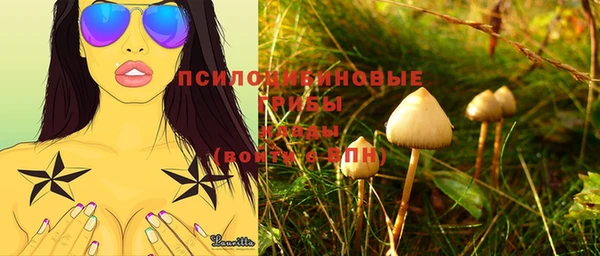 индика Бронницы