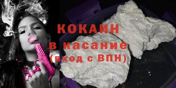 индика Бронницы
