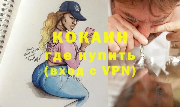 индика Бронницы