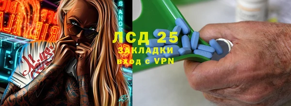 трава Бородино