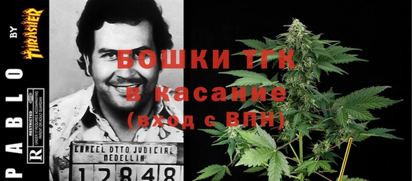 трава Бородино