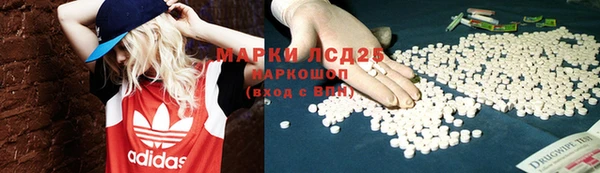 индика Бронницы